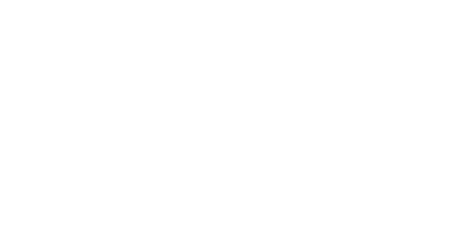 Shlok Group